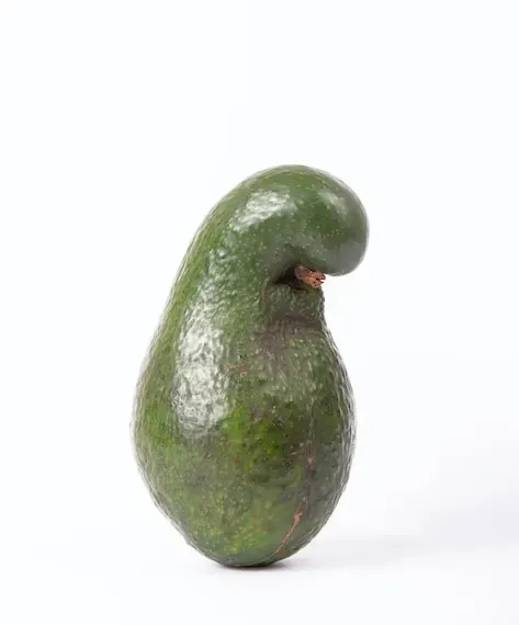 Image of curvaceous avocado